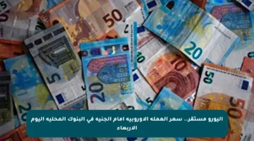 اليورو مستقر.. سعر العملة الأوروبية أمام الجنيه في البنوك المحلية اليوم الأربعاء